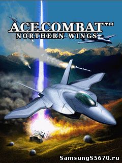 Игра Асы бомбардировки Северные крылья Ace Comba t Northern Wings