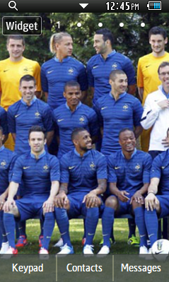 Тема France EURO 2012