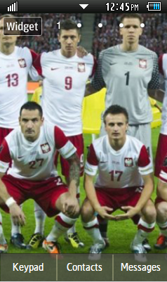 Тема Poland EURO 2012 