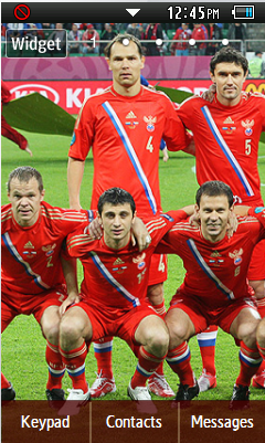Тема Russia EURO 2012